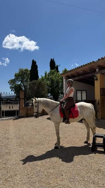 From Barcelona: PRIVATE Horseback Ride + Tapas + Wine Picnic - The Guide Matters More Than You Think