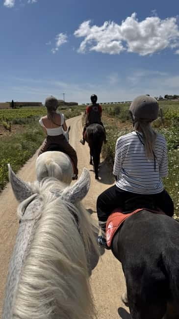 From Barcelona: PRIVATE Horseback Ride + Tapas + Wine Picnic - After the Ride: Pica Pica Tapas in the Countryside