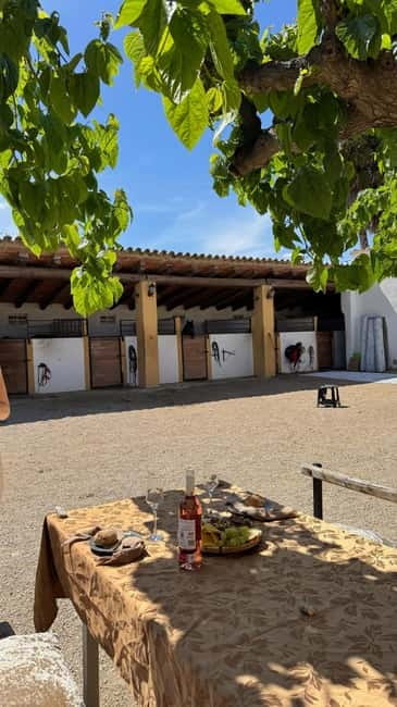 From Barcelona: PRIVATE Horseback Ride + Tapas + Wine Picnic - Timing and Flow: How the 10 a.m. to 2:30 p.m. Day Fits Barcelona