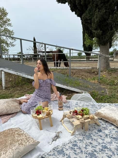 From Barcelona: PRIVATE Horseback Ride + Tapas + Wine Picnic - Who This Tour Suits Best