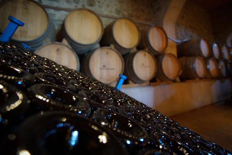 From Barcelona: Sailing and Wine Tasting Experience - Key highlights to look for on this Barcelona to Alella day