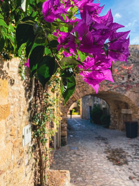 From Barcelona: Small-Group Tour Costa Brava & Dali Museum - Where lunch can feel tight, and how to handle it without losing the fun