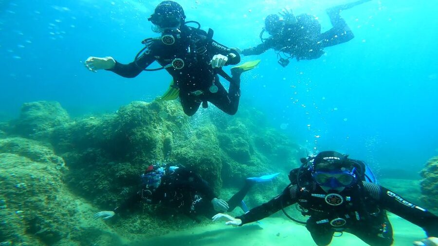 From Barcelona: Tossa de Mar Scuba Diving and 3-Course Meal - Key things I’d plan around