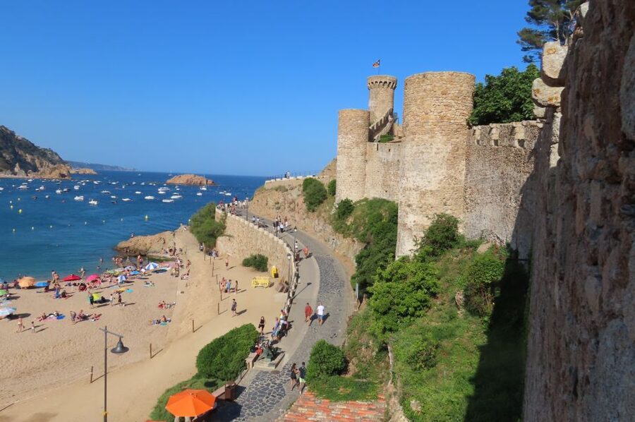 From Barcelona: Tossa de Mar Scuba Diving and 3-Course Meal - The guide factor: what Matias adds to the day