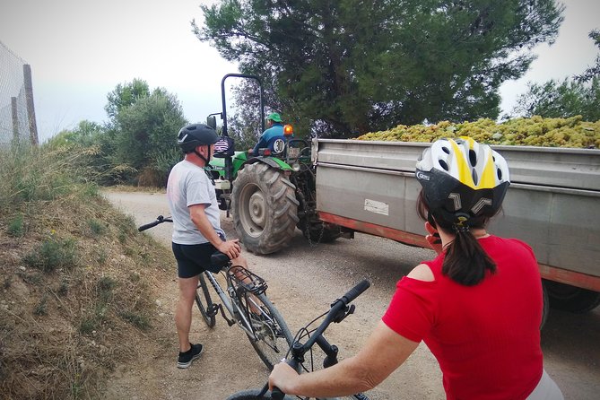 From Sitges: Bike Tour and Winery Visit with Free Hotel Pick Up. - Caves Romagosa Torne with Montse: cellar aging, family museum, and the cava story