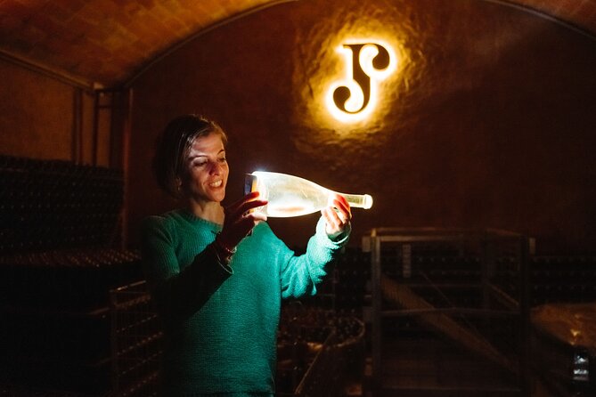 Full-Day Trip Barcelona to Montserrat Monastery & Cava Winery - Transportation and timing: how a 7-hour day actually feels