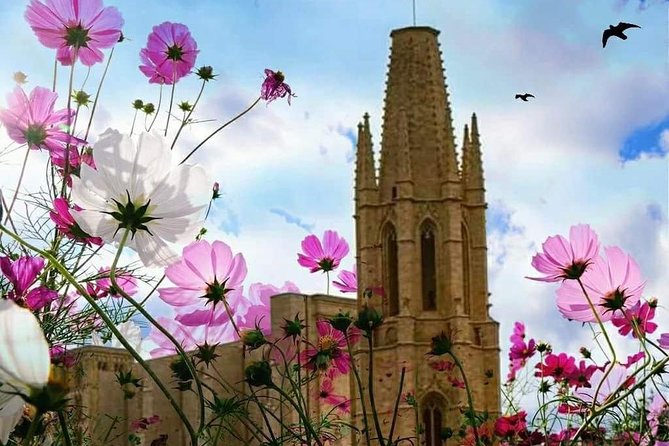 Girona Guided Tour with Cathedral, Arab Baths & St Feliu Basilica - Stop 2: Catedral de Girona, making the 40 minutes count
