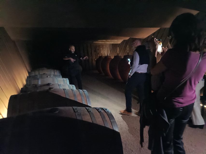Girona: Local Wineries Tour with Breakfast and Wine Tasting - Key highlights at a glance