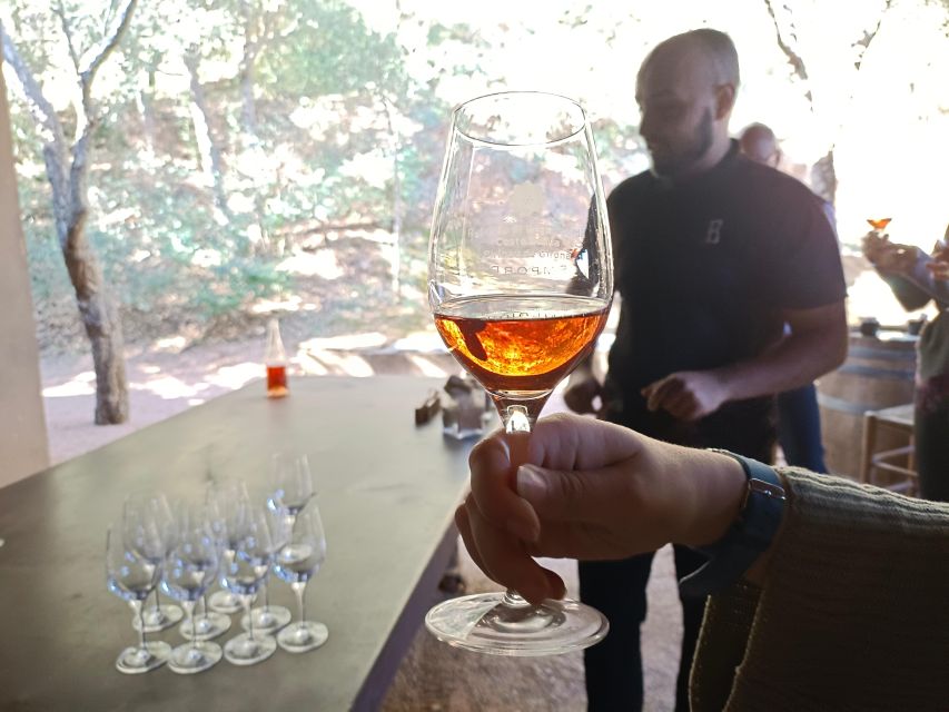 Girona: Local Wineries Tour with Breakfast and Wine Tasting - Who this tour suits best in Girona