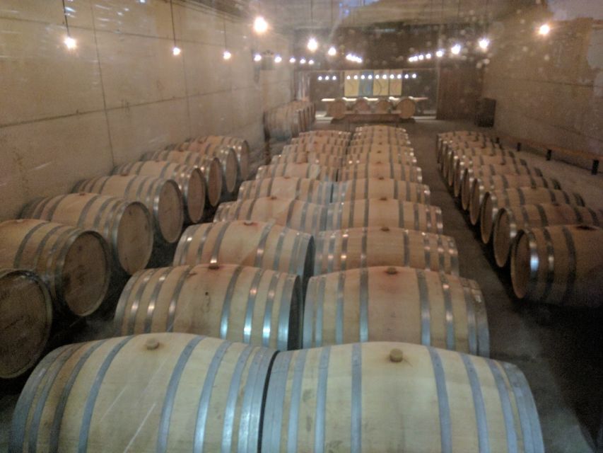 Girona: Local Wineries Tour with Breakfast and Wine Tasting - Stop one at Empordalia, Celler de Vilajuïga: breakfast first, then your first wine set