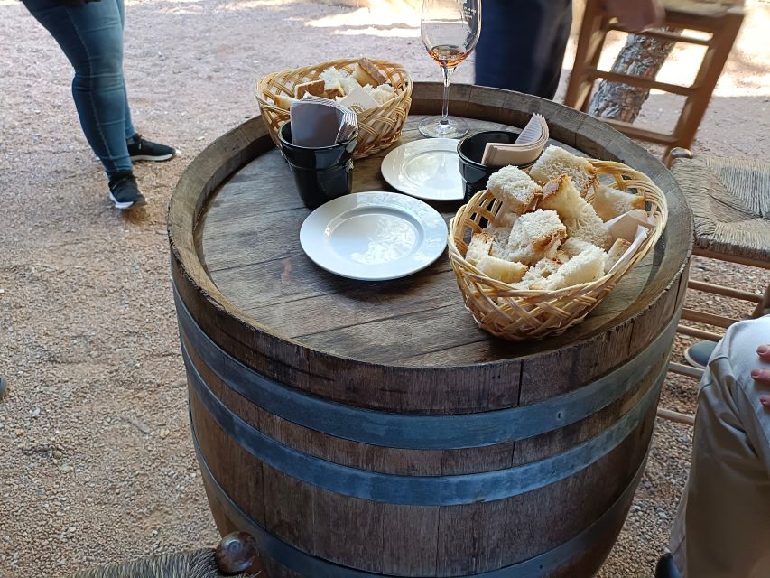 Girona: Local Wineries Tour with Breakfast and Wine Tasting - Stop two at Terra Remota: guided wine tasting with a more personal vibe