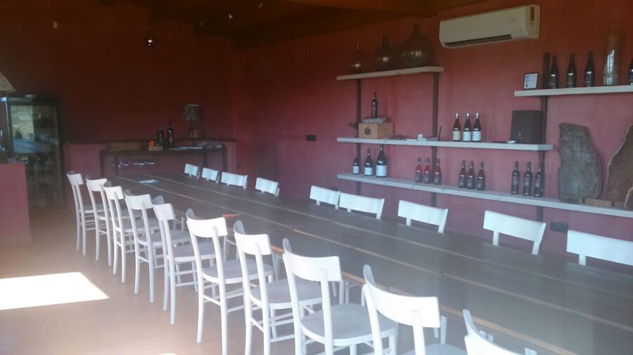 Girona: Local Wineries Tour with Breakfast and Wine Tasting - What you taste: reds, rosés, whites, plus real Catalan bites