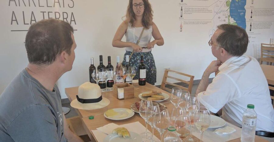 Girona: Local Wineries Tour with Breakfast and Wine Tasting - Tips to get the most out of your 5-hour wine day