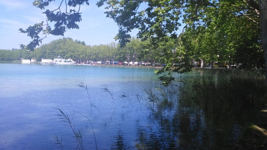 Girona: Volcano Area, Besalú, and Banyoles Lake Tour - La Garrotxa volcanic zone hike: the crater visit is the heart of the day
