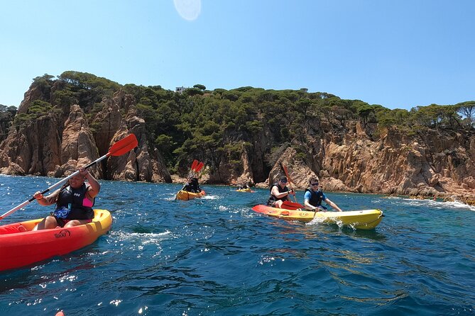 Guided Kayak & Snorkel tour to Costa Brava: Small Group and Lunch - Lunch on the coast: bocadillo picnic plus fuel to keep going