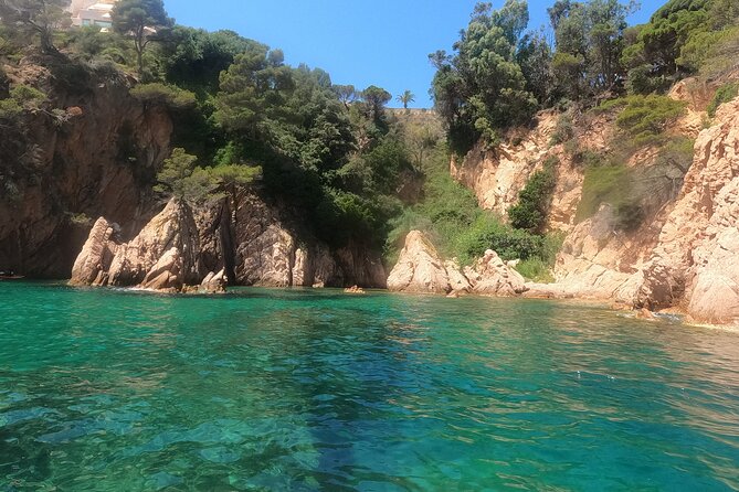 Guided Kayak & Snorkel tour to Costa Brava: Small Group and Lunch - Guides make the difference: Tim, Ola, and small-group energy