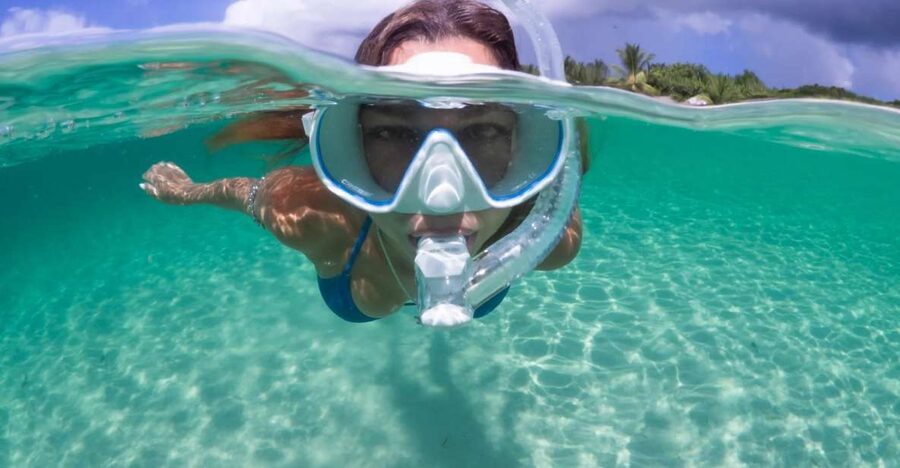 Guided Snorkel in Barcelona Beach - Key highlights at a glance