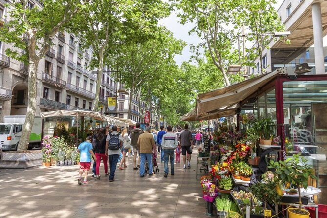 Half Day Barcelona Private Walking Tour - Key Points to Know Before You Go
