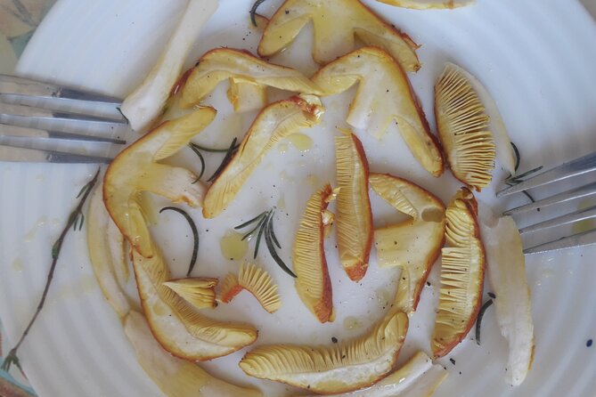 Half Day Gastronomic Wild Walk in Girona - Key things to know before you go