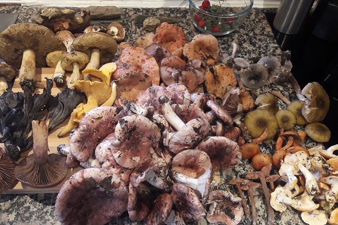 Half Day Gastronomic Wild Walk in Girona - English and guide style: Ignacio’s personality is part of the value