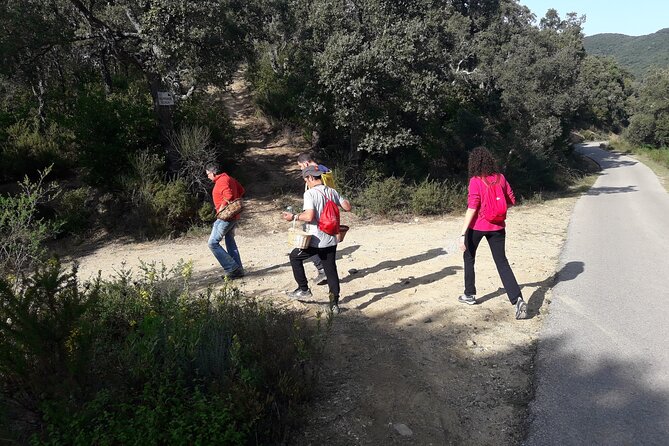 Half Day Gastronomic Wild Walk in Girona - Who this wild walk fits best (and who should skip it)