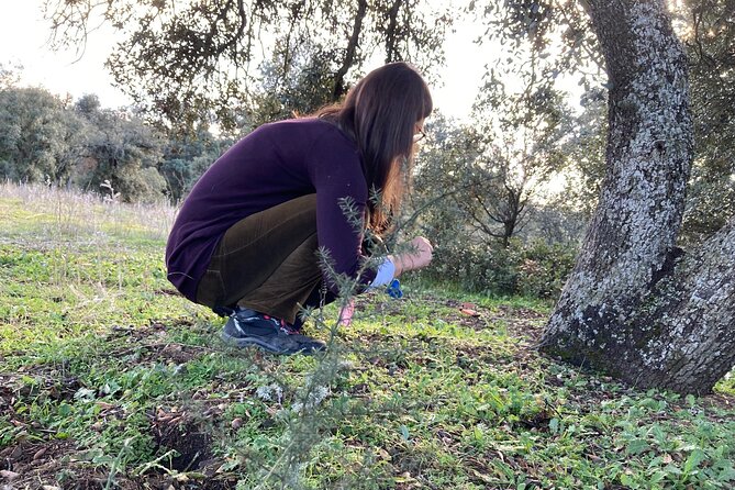 Half Day Gastronomic Wild Walk in Girona - Meeting point reality: finding Font del Ferro without drama