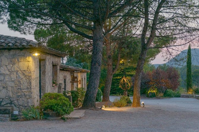 Half Day Private Wine & Oil Tasting Tour near Barcelona with hotel pick up - Olive oil in Vall d’Hortons: workshop, groves, then food pairings
