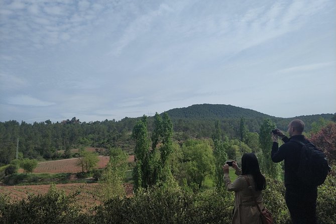 Half Day Private Wine & Oil Tasting Tour near Barcelona with hotel pick up - Should you book this private wine and oil tour near Barcelona?