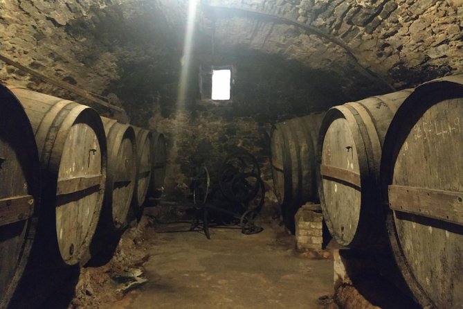 Half Day Private Wine & Oil Tasting Tour near Barcelona with hotel pick up - Organic winery stop: cellar history and Catalan farmhouse vibes
