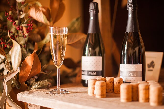 High-End Vineyard Escape: Cava, Tapas & Wine | Private Tour - Small Wineries, and a Note About Substitutions