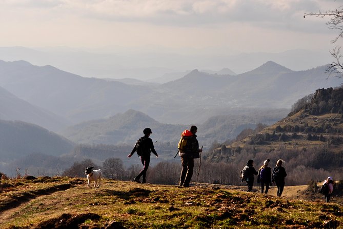Hiking and Trekking Barcelona - Choosing Your Trek: Pyrenees Peaks, Olot Volcanoes, or Coastal Villages