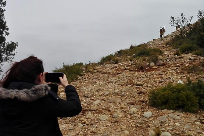 Historical Montserrat Half-Day Hiking Tour from Barcelona - Price and Value: What You’re Paying For and What You Still Need to Budget