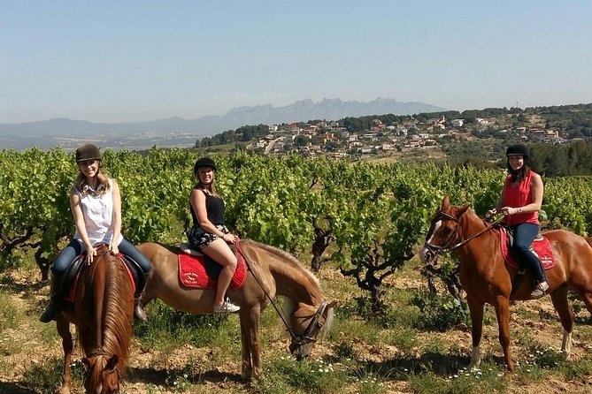 Horseback Ride, Penedes, Wine Tasting & Tapas Private Tour - Key Highlights To Care About Before You Go