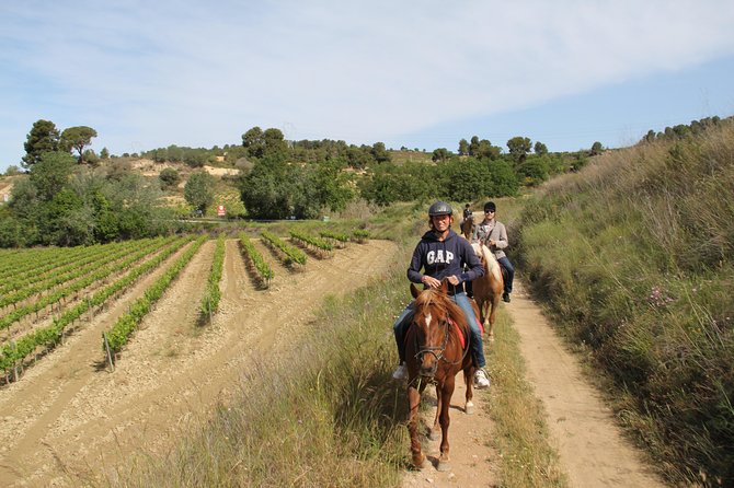 Horseback Ride, Penedes, Wine Tasting & Tapas Private Tour - Getting Picked Up In Barcelona Without Losing Half Your Day