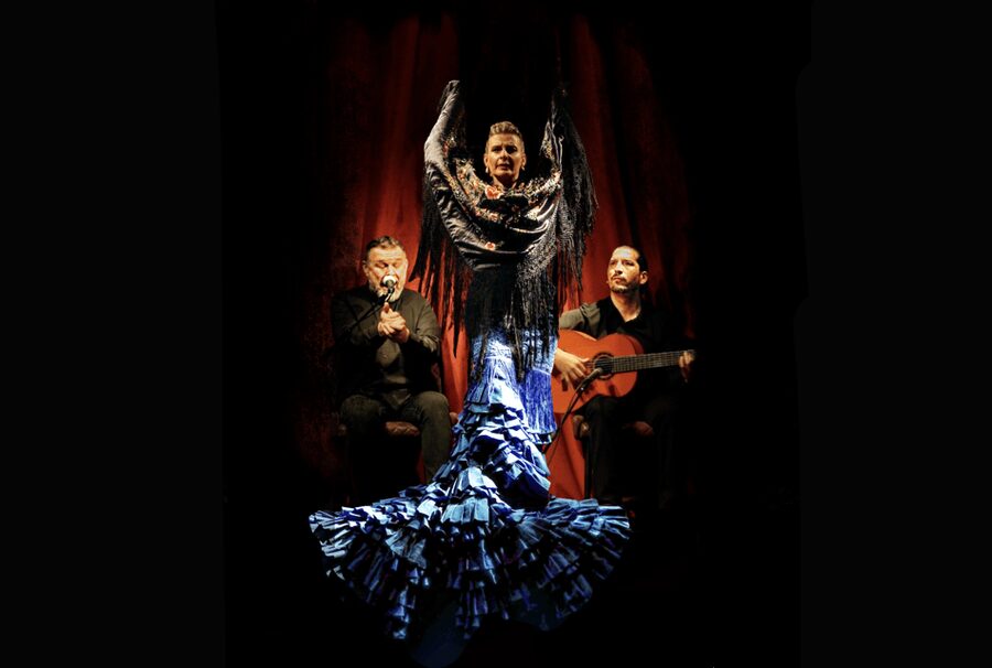 Intimate Authentic Flamenco Show in Barcelona at Casa Sors - Where the Guitar Museum Fits: Why It Makes Flamenco Make More Sense