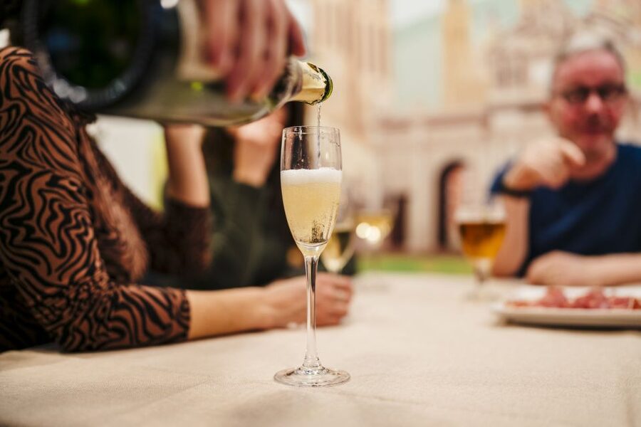 Jamón Experience Master Plus: Ham, Wine & Cheese Tasting - Wine pairing: cava, white, and red