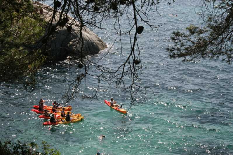 Kayak and Snorkel in Playa de Aro, Costa Brava - Meeting at Kayak Experience Costa Brava: arrive ready to move