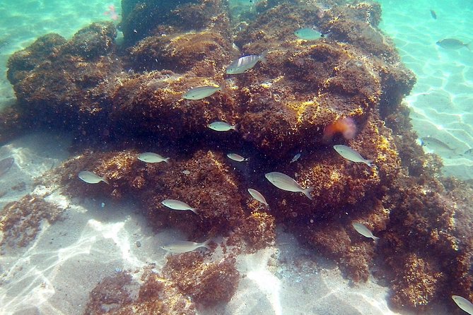 Kayak excursion in Playa de Aro - Price and Value for $36.20 in Playa de Aro