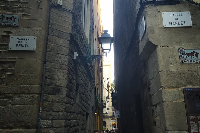 Luca’s Hidden Old Barcelona: the Gothic and El Born Tour - Pl. de Sant Jaume to MUHBA Temple d’August: from power to Rome