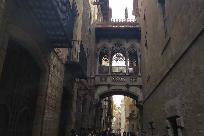 Luca’s Hidden Old Barcelona: the Gothic and El Born Tour - The Gothic Cathedral stop: outside views and quick context