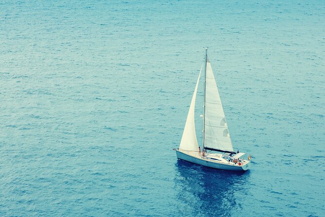 Luxury Private Yacht Sailing Tours in Barcelona - The Swim Stop and Spotting Local Marine Life