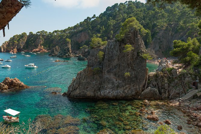 Medieval Costa Brava day-trip from Girona - Price and logistics: what $156.53 buys you
