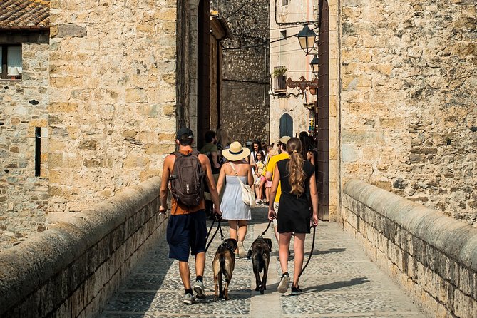 Medieval Three Villages Small Group Day Trip from Barcelona - Castellfollit de la Roca: the tiny cliff town you pass like a postcard