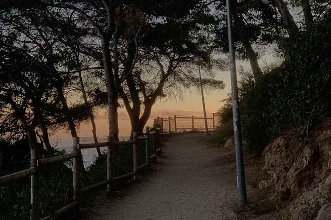 Montjuïc Magic: Hidden Pathways, Vermut Delights & Sunset Bliss - Jardins del Mirador del l’alcalde: panoramic views without the usual scramble