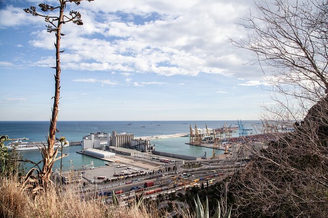 Montjuïc Walking Tour With Optional Flamenco Show - How the walk feels in real life: steps, downhill, and photo stops