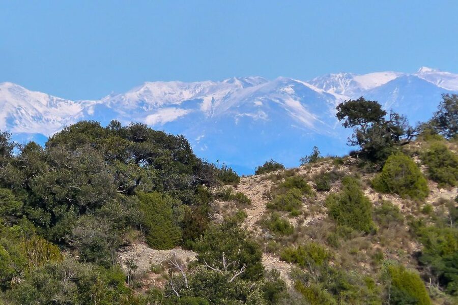 Montserrat: 6-Hour Tour with a Choice of 3 Levels of Hiking - Montserrat: Sacred Mountain Meets Real Walking
