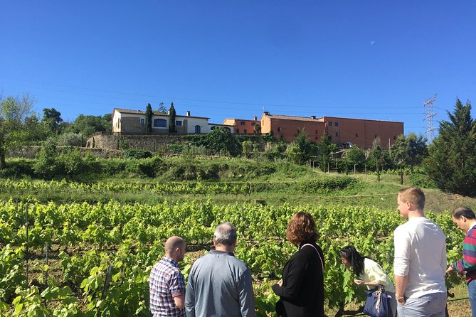 Montserrat & best winery private tour experience with a local expertise - The Montserrat Abbey Stop, Cloisters, Madonna, and Choir Timing