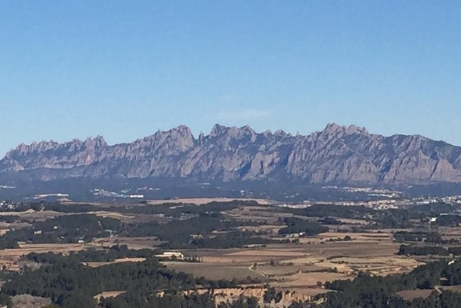 Montserrat & best winery private tour experience with a local expertise - An Ecological Winery Visit and How to Think About Extra Tickets