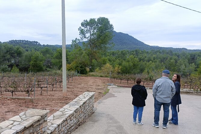 Montserrat & beyond private tour with pickup, tickets & options - Timing, Parking Crowds, and Why Your Lunch Might Change