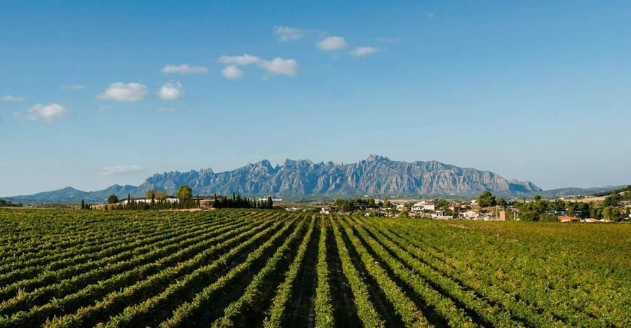 Montserrat & Cava Wineries Day Trip from Barcelona w/ Pickup - Montserrat Monastery, Basilica, and Santa Cova: The Spiritual Heart